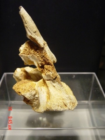 1214608860dsc01981 0