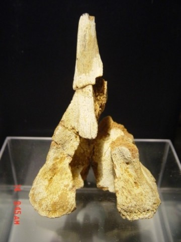 1237280632dsc01982 0