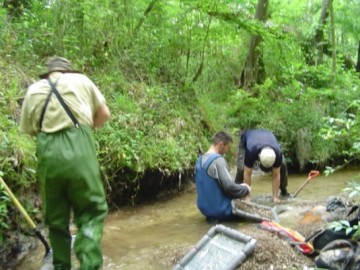 131790521my pictures 620