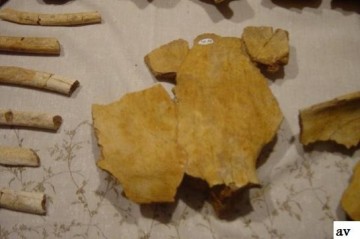 2111106535295427373dsc03239 1024x680