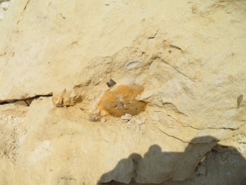 22189816893007927181243666422313750691305609n