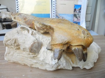 25400517702954575341243666422314801882874644n