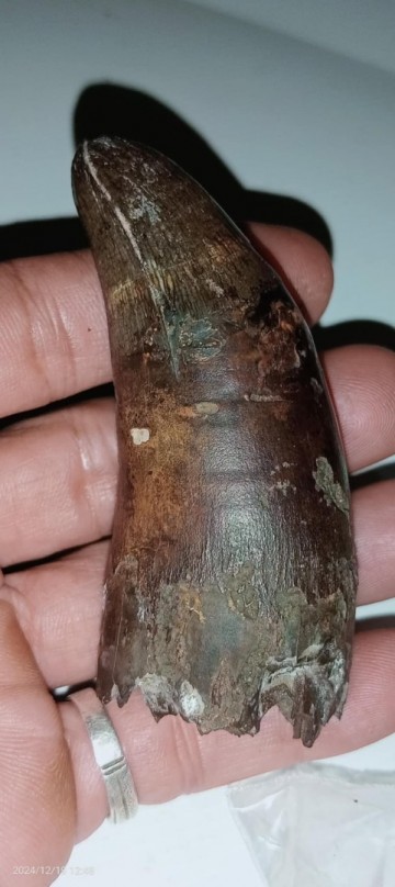 2921f722 3232 447f 8bbf 1a28f2d81b27 1