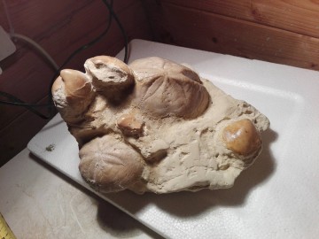 29995766167088312299678782164915o