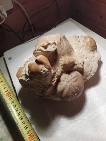 300075721670883266330106364562451n