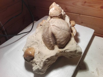 3012585516708831996634462111047488o