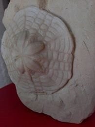 3632756817622391538611834999129971612975104n