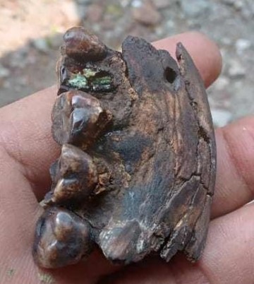 37144700914268357115978651386114449401311235n