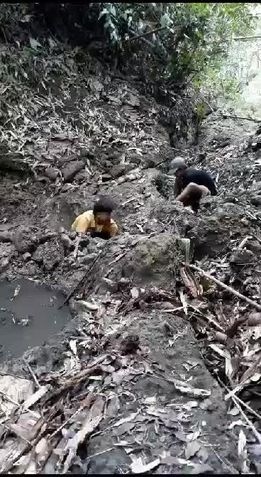 386457538239947292134753112122880447490353693n