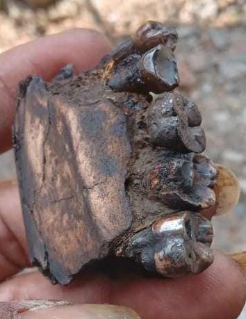 39391633411662138947659278816495844052718882n