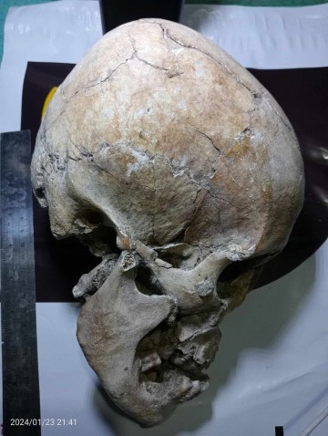 4204551448071114478315325433845193281116471n