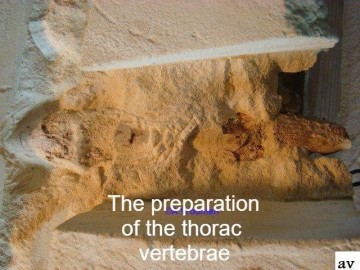 43107849102126201120780965359275172794728448n