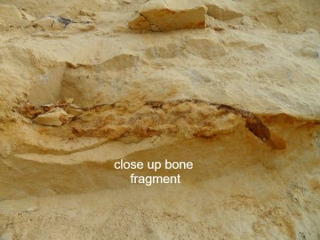 4314362010212619923073371804567766769074176o