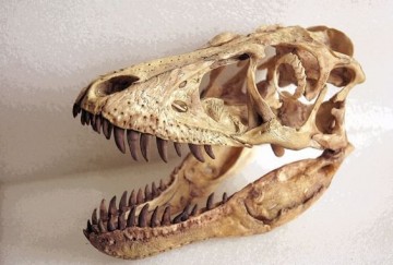 849ba7f7600f37aa16720e7ef5368a20