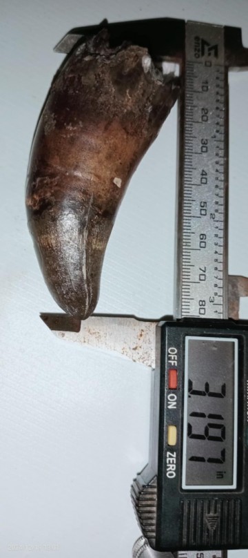 8d29ba6e 39e5 4a12 b98c aa2e02137022