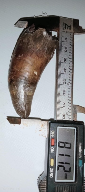 939fe638 7214 4da9 b21b c5635a9ea9c1