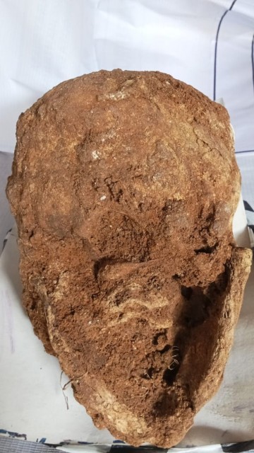 Afbeelding van whatsapp op 2024 04 06 om 114639fae4a8b2