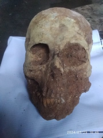 Afbeelding van whatsapp op 2024 04 06 om 114649b902c493