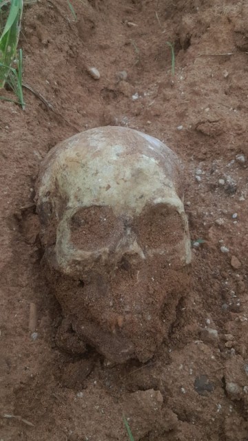 Afbeelding van whatsapp op 2024 04 06 om 114649e1e2bcd3