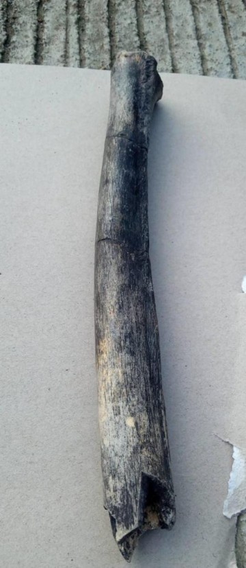 Afbeelding van whatsapp op 2024 04 18 om 2027386691515a