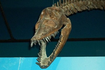 E17c099c483e4ff93c989d427c8381fa 0