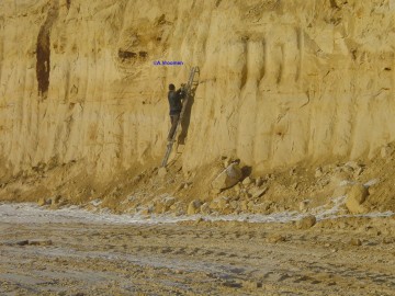 I285415639346331124szw1280h1280