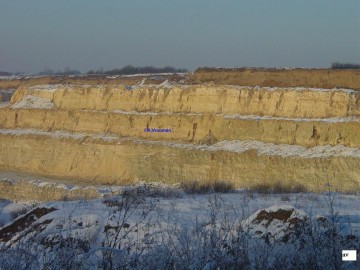 I285415639346331125szw1280h1280