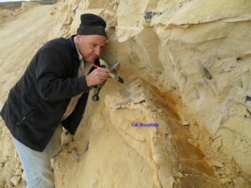 I285415639346411605szw1280h1280