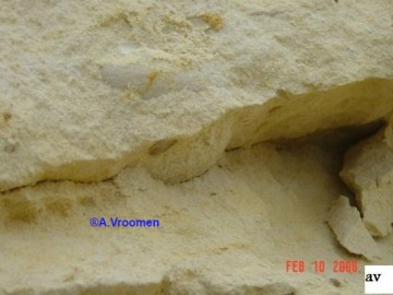 I285415639352395162szw1280h1280 0