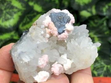 Il1140xn2073435798bz7n