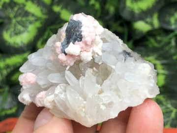 Il1140xn207343580242dk