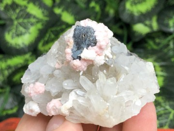 Il1140xn21210010676e6a