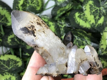 Il1140xn23816611539hid