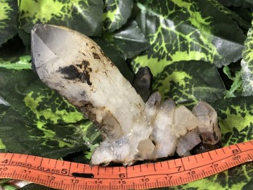 Il1140xn23816615858en3