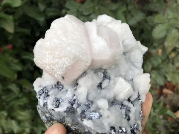 Il1140xn2680783641s0yf 1