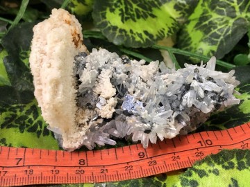 Il1140xn27966645649mwd