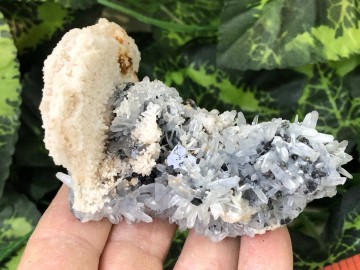 Il1140xn284433733534p1