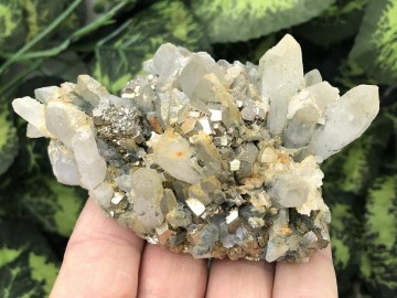 Il1140xn28722696962k8o 0