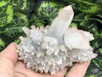 Il794xn20234161386y61