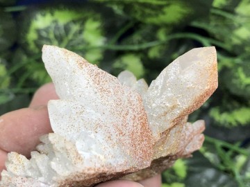 Il794xn2023416142jcpx