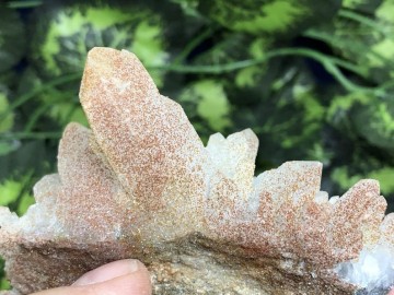 Il794xn2023416146e4t6