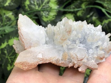 Il794xn2071016527m9dc