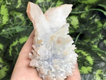 Il794xn2071016529qy01