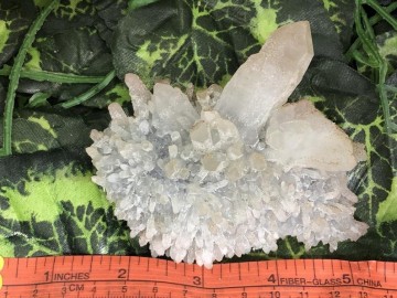 Il794xn2071016545co7d