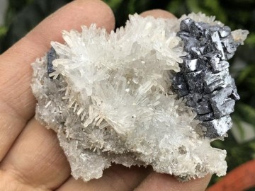 Il794xn2337258966amyu