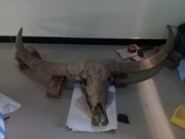 Img 20210206 wa0006 0