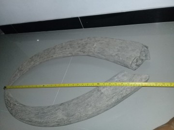 Img 20210207 wa0001 0