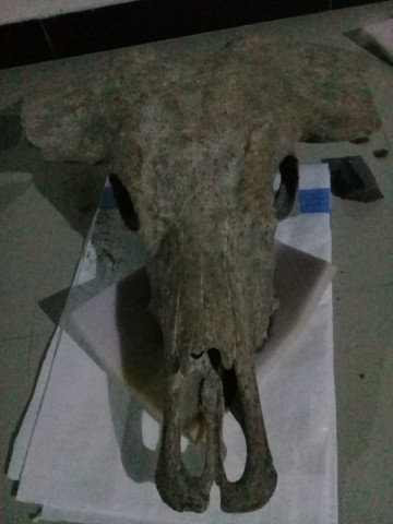 Img 20210207 wa0002 0