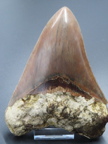 Ink 185 dlr verk 465