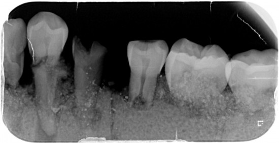 030253 003 20240221 1